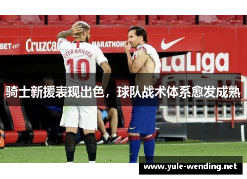 骑士新援表现出色，球队战术体系愈发成熟